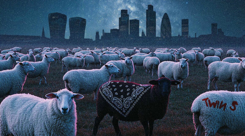 Twin S - Black Sheep