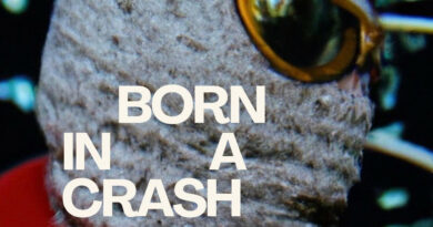 Wale the Sage - Born In A Crash