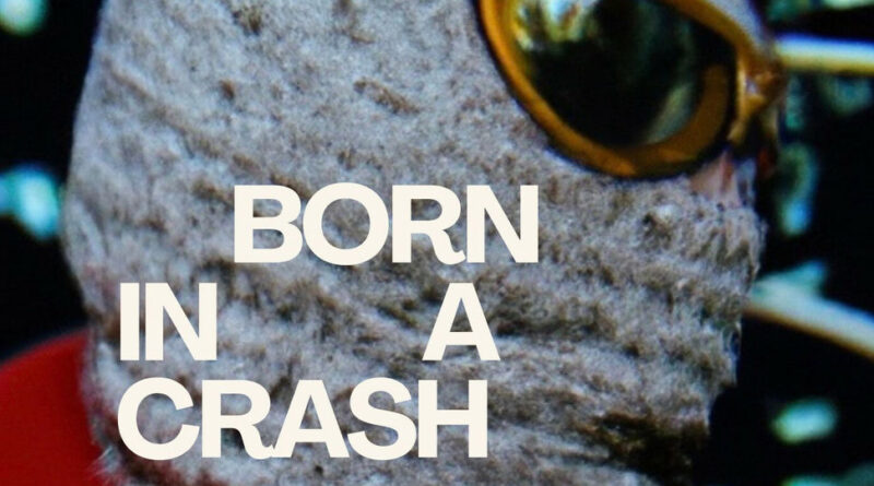 Wale the Sage - Born In A Crash