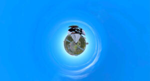 Wale the Sage - bleue.