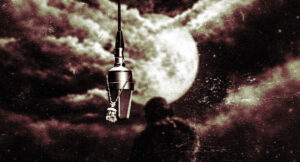 Wallie the Sensei - Fed Up