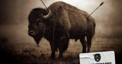 Wounded Buffalo Beats - The Spectacle Of Fearsome Acts