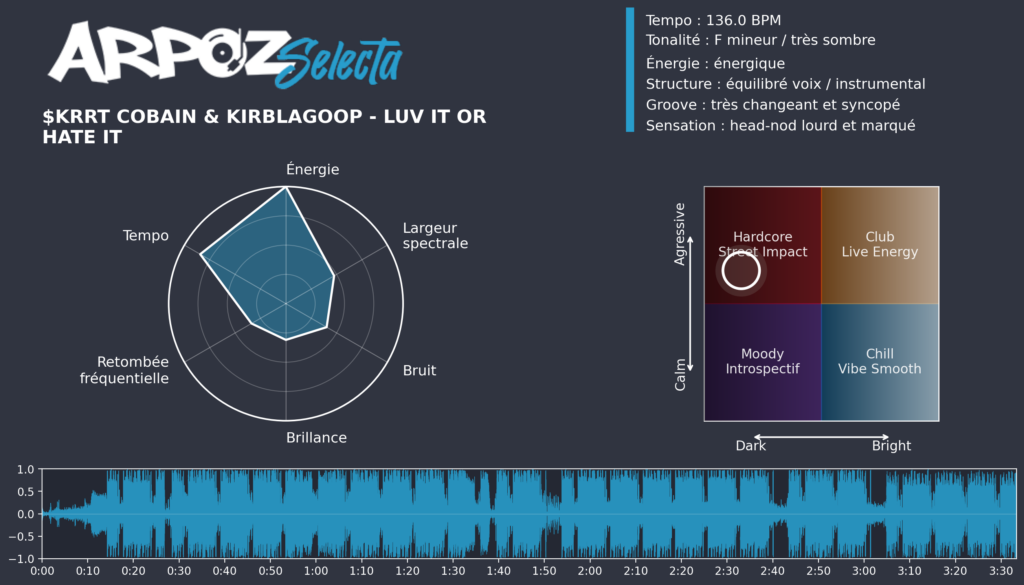 $krrt Cobain & KirbLaGoop - Luv It or Hate It_ARPOZ-Selecta