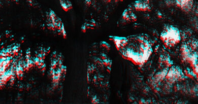 Chase B - BE VERY AFRAID (Vol. 1)