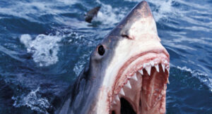 Conway the Machine & The Alchemist - LULU