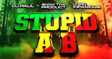 DJ Paul - Stupid A B