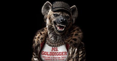 Declaime - Ms. Golddigger (feat. Kristina Sheli & DJ DISTER)