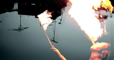 Fliptrix - Force Fed Imagery