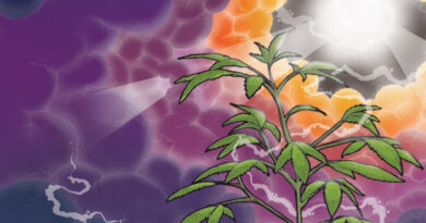 Fliptrix - Mind Travelling