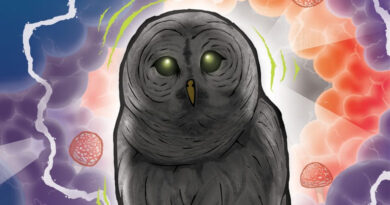 Fliptrix - Wylin Out