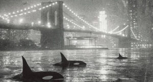 GASHI - Deepsea Dwellers