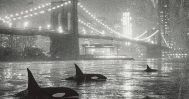 GASHI - Deepsea Dwellers