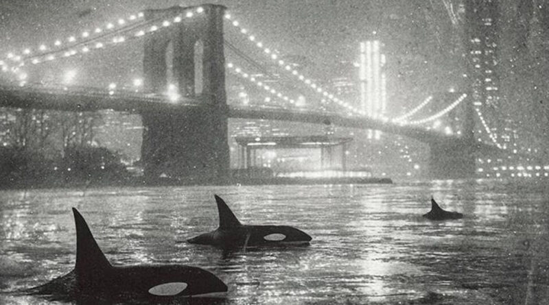 GASHI - Deepsea Dwellers