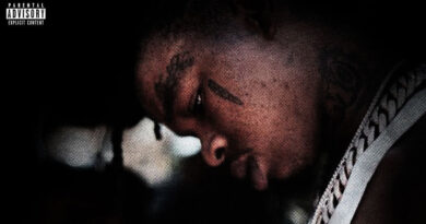 GMO Stax - No Safety 2