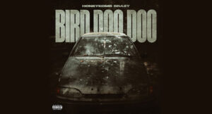 Honeykomb Brazy - Bird Doo Doo