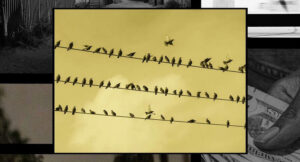 JasonMartin - Get To It