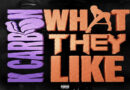 K Carbon – What They Like K Carbon - What They Like