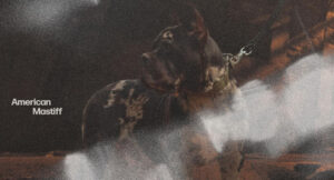 Katori Walker & Nyck Caution - American Mastiff