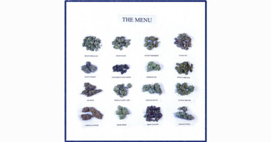 Leaf Dog & BVA - The Menu