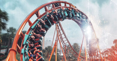 M-Dot & Confidence - Rollercoaster