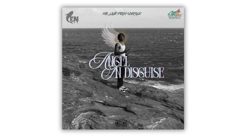 Mr Live from Norfolk - Angel in Disguise