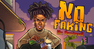 Mr. Bankroll - No Fakin