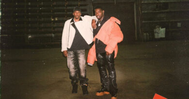 Ray Vaughn - Problems (Triangle Park Mix)