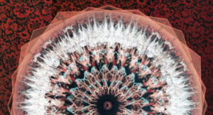 The Expert - Extra Visions