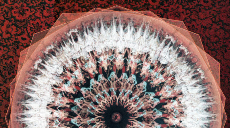 The Expert - Extra Visions