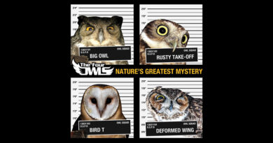 The Four Owls - Nature's Greatest Mystery