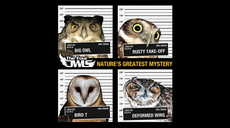 The Four Owls - Nature's Greatest Mystery