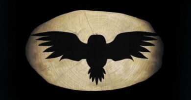 The Four Owls - Silent Flight