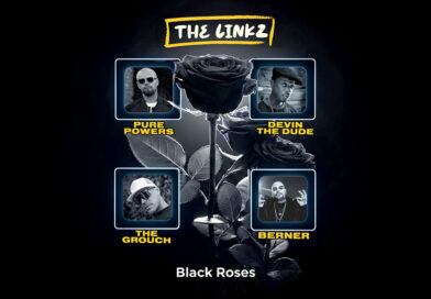 The Linkz - Black Roses