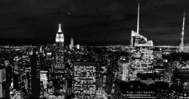 Tylr C, Craig G & A-F-R-O - The Mitten to Queensbridge