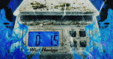 Wizz Havinn - Dirty Scale Music Vol 1.5