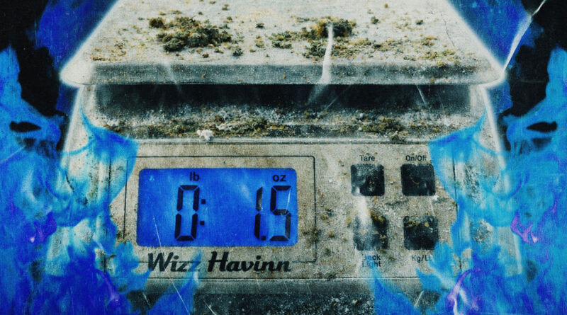 Wizz Havinn - Dirty Scale Music Vol 1.5