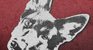 imnotvrycreative - DOG PILE