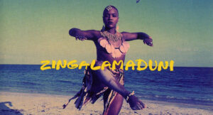 Arrested Development - Zingalamaduni