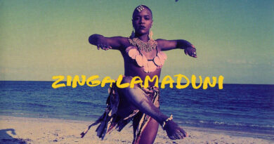 Arrested Development - Zingalamaduni