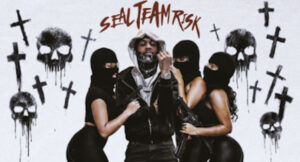 BabyRisk - Seal Team Risk