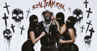 BabyRisk - Seal Team Risk