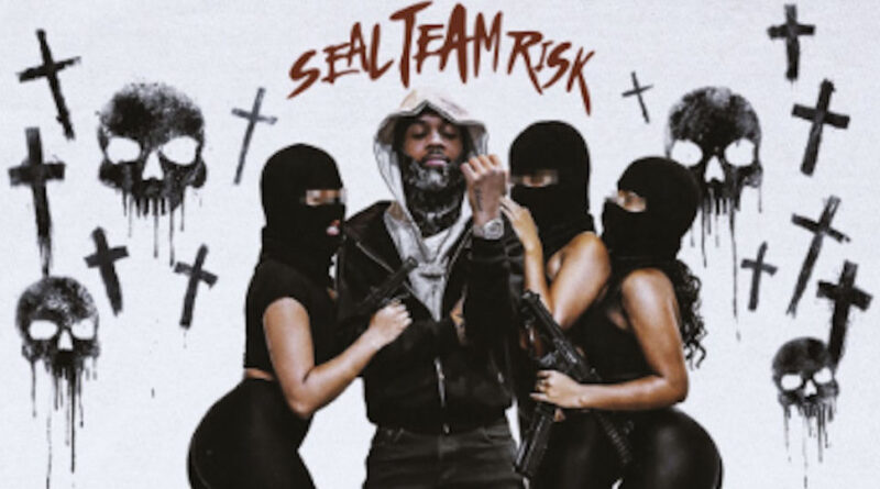 BabyRisk - Seal Team Risk