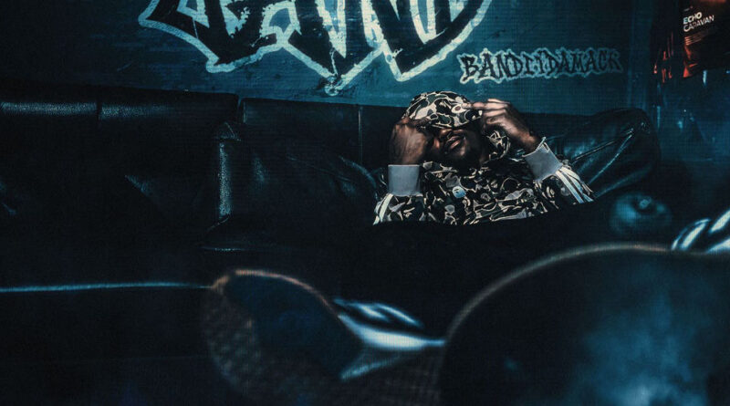 Banditdamack - Wasteland