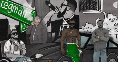 Dibiasi - Hustler's Remorse