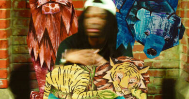 Ernesto Birmingham - LIONS, TIGERS, BEARS