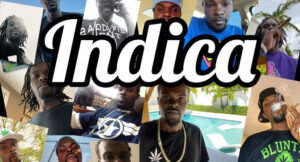 Indica - Person of Interest
