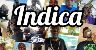 Indica - Person of Interest