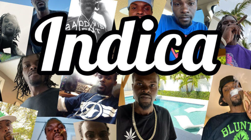 Indica - Person of Interest