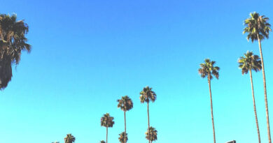 KOTA the Friend - Long Beach II