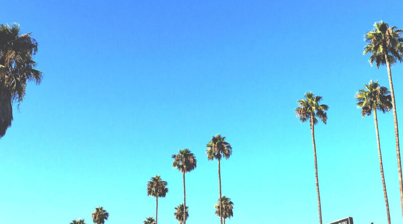 KOTA the Friend - Long Beach II